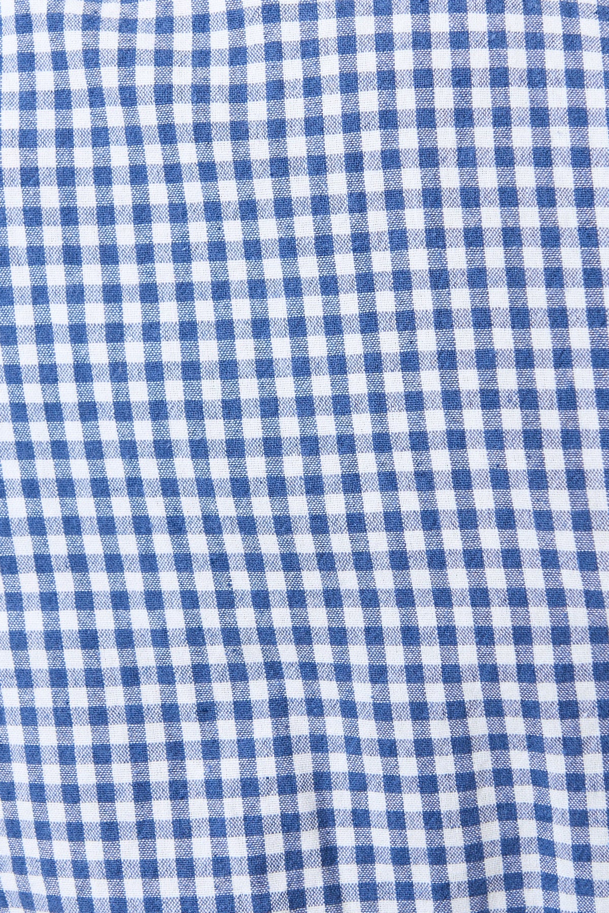 Unity Gingham Ric Rac Trim V-Neck Midi Dress - Blue
